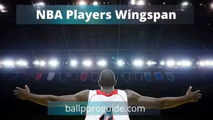 NBA Players Wingspan